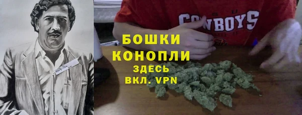 бутират Богородицк
