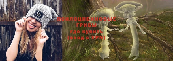 бутират Богородицк
